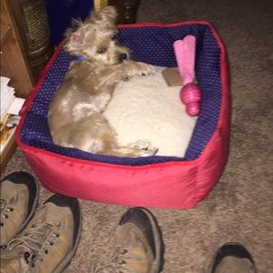 Meet your Posher, Michael